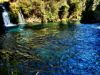 DSCF6590.JPG